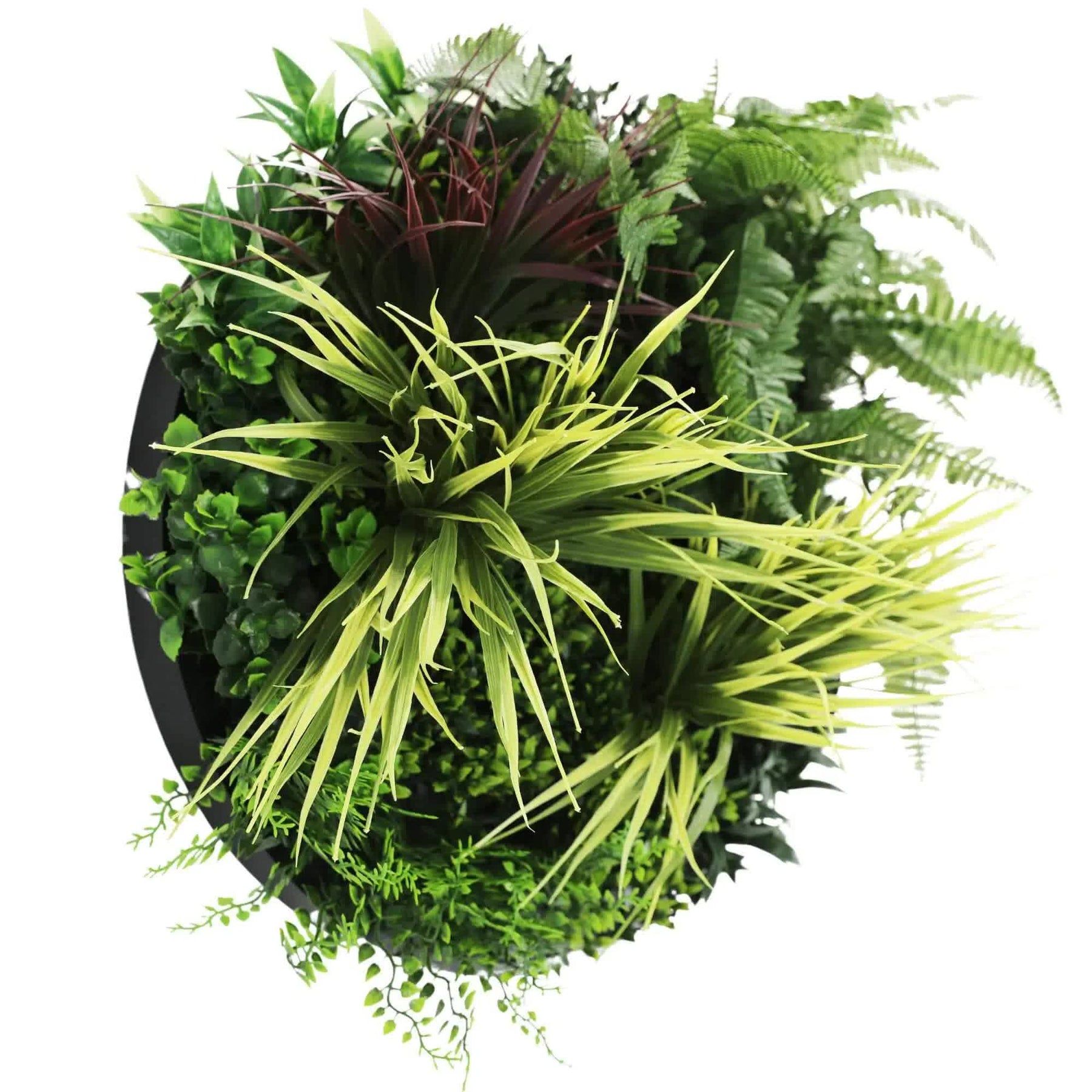 Slime-line Green Wall Disc Art 50cm - Indoor UV Resistant Grassy Fern Fields - SuperSaverAU - view 4