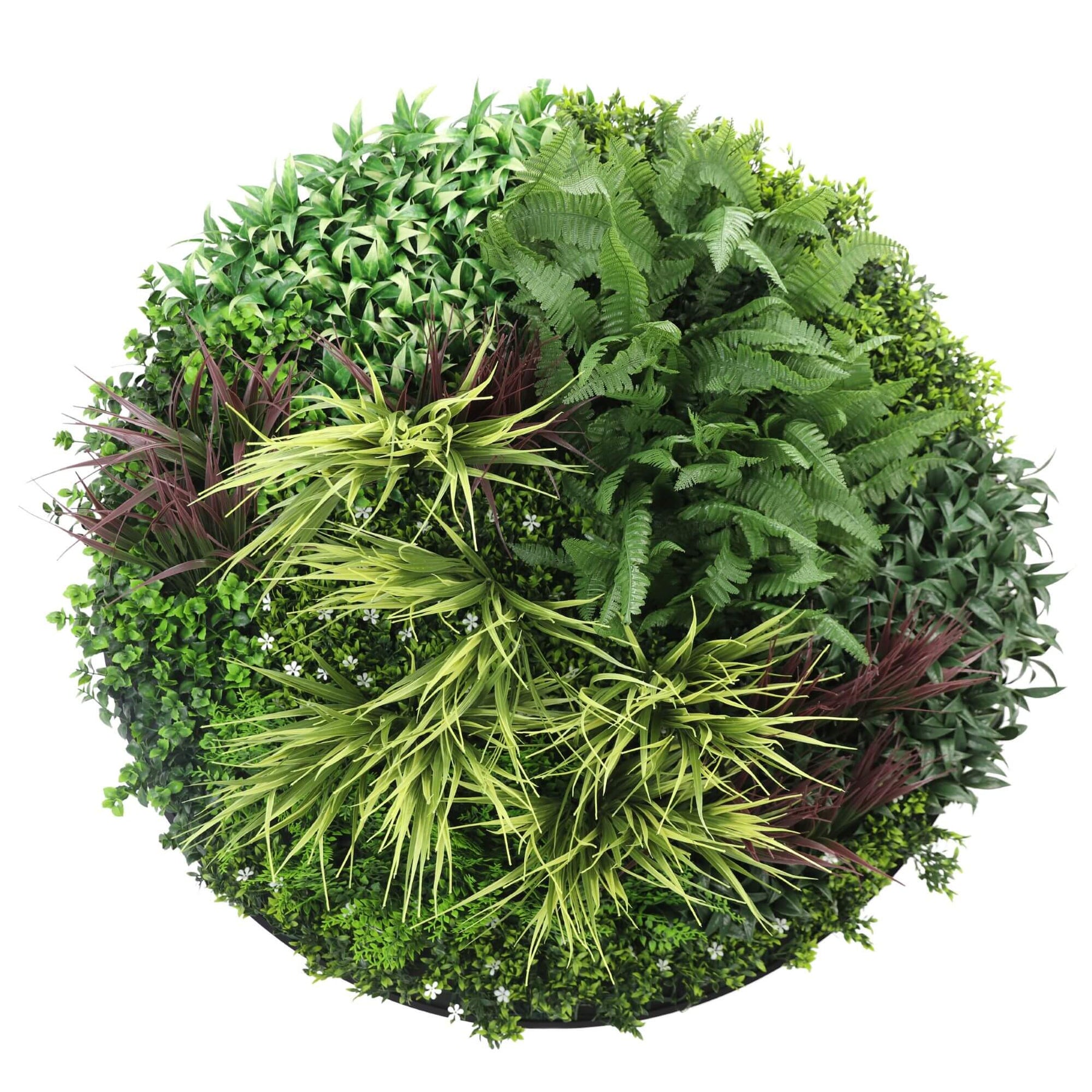 Slime-line Green Wall Disc 100cm Black Frame Artificial Fern UV Resistant - SuperSaverAU - view 1