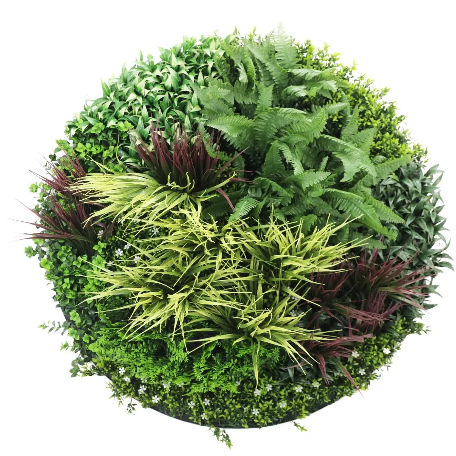 Slime-line Green Wall Disc Art 100cm, UV Resistant, Easy Install, White Frame - SuperSaverAU - view 1
