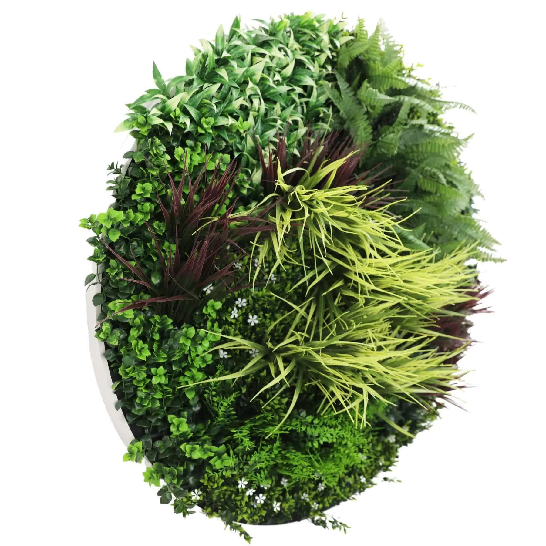 Slime-line Green Wall Disc Art 100cm, UV Resistant, Easy Install, White Frame - SuperSaverAU - view 3