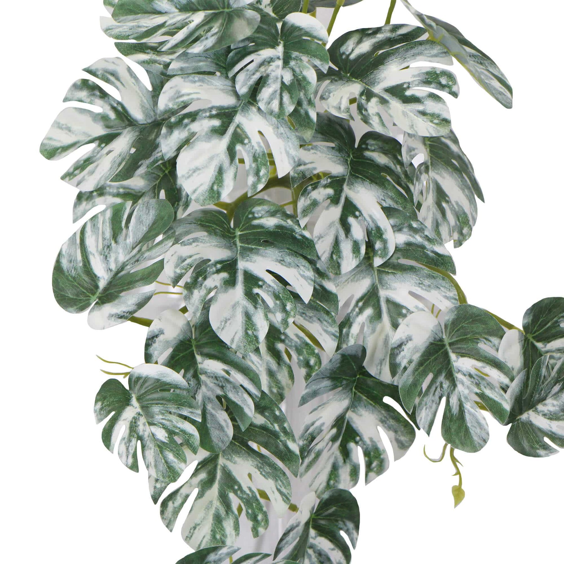 Artificial White Green Monstera Plant Albo Variegata 45cm - Lifelike Indoor Decor - SuperSaverAU - view 4
