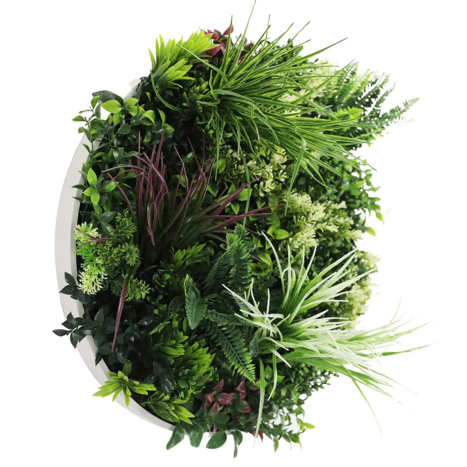 Slimline 60cm Artificial Green Wall Disc Art - Fresh UV Resistant with White Frame - SuperSaverAU - view 3