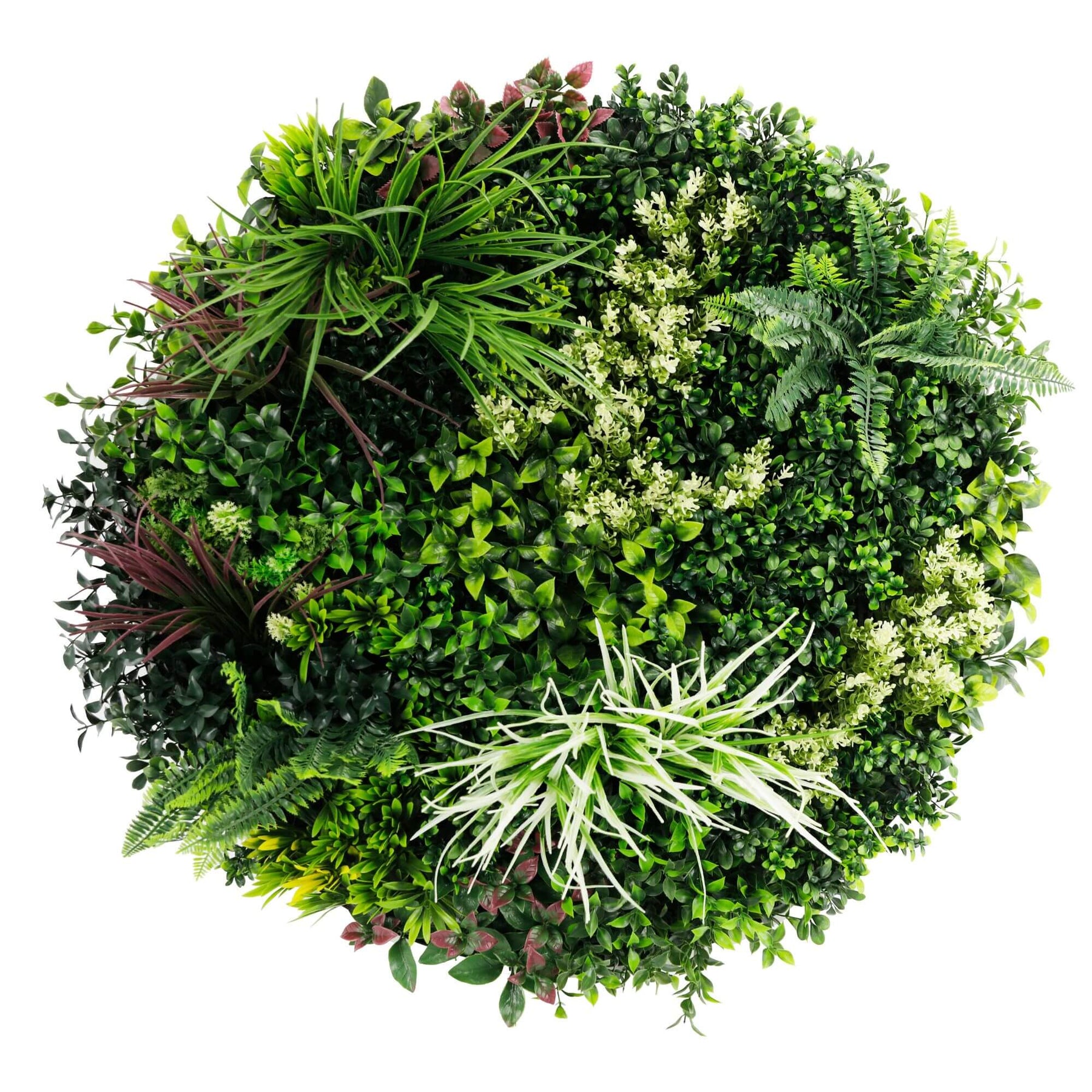 Slime-line 80cm Artificial Green Wall Disc Art UV Resistant White Frame - SuperSaverAU - view 1