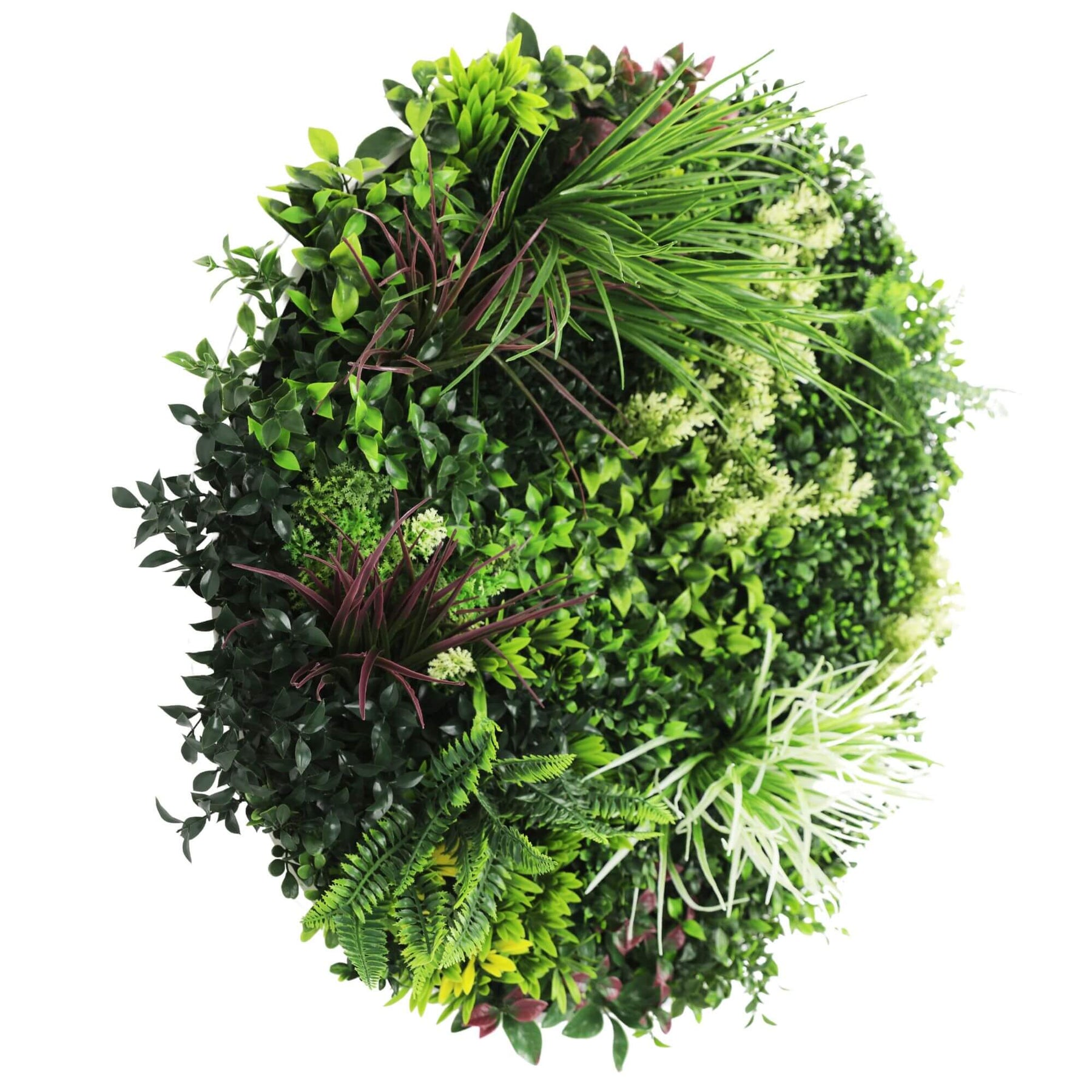 Slime-line 80cm Artificial Green Wall Disc Art UV Resistant White Frame - SuperSaverAU - view 3