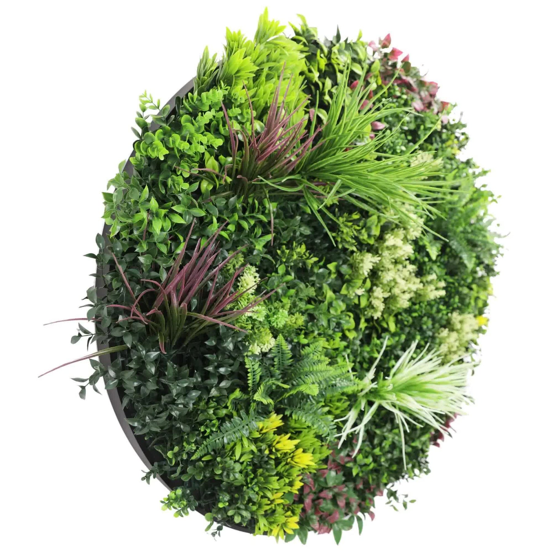 Slime-line Green Wall Disc Art 100cm UV Resistant Fresh Green (White Frame) - SuperSaverAU - view 3