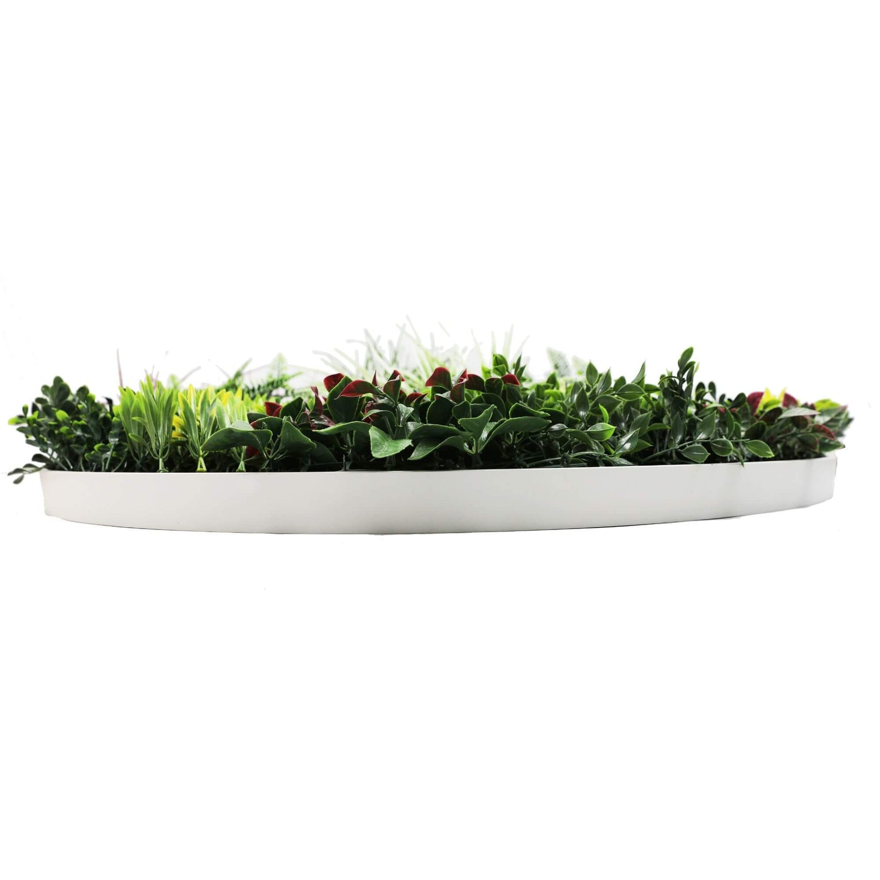 Slime-line Green Wall Disc Art 100cm UV Resistant Fresh Green (White Frame) - SuperSaverAU - view 4