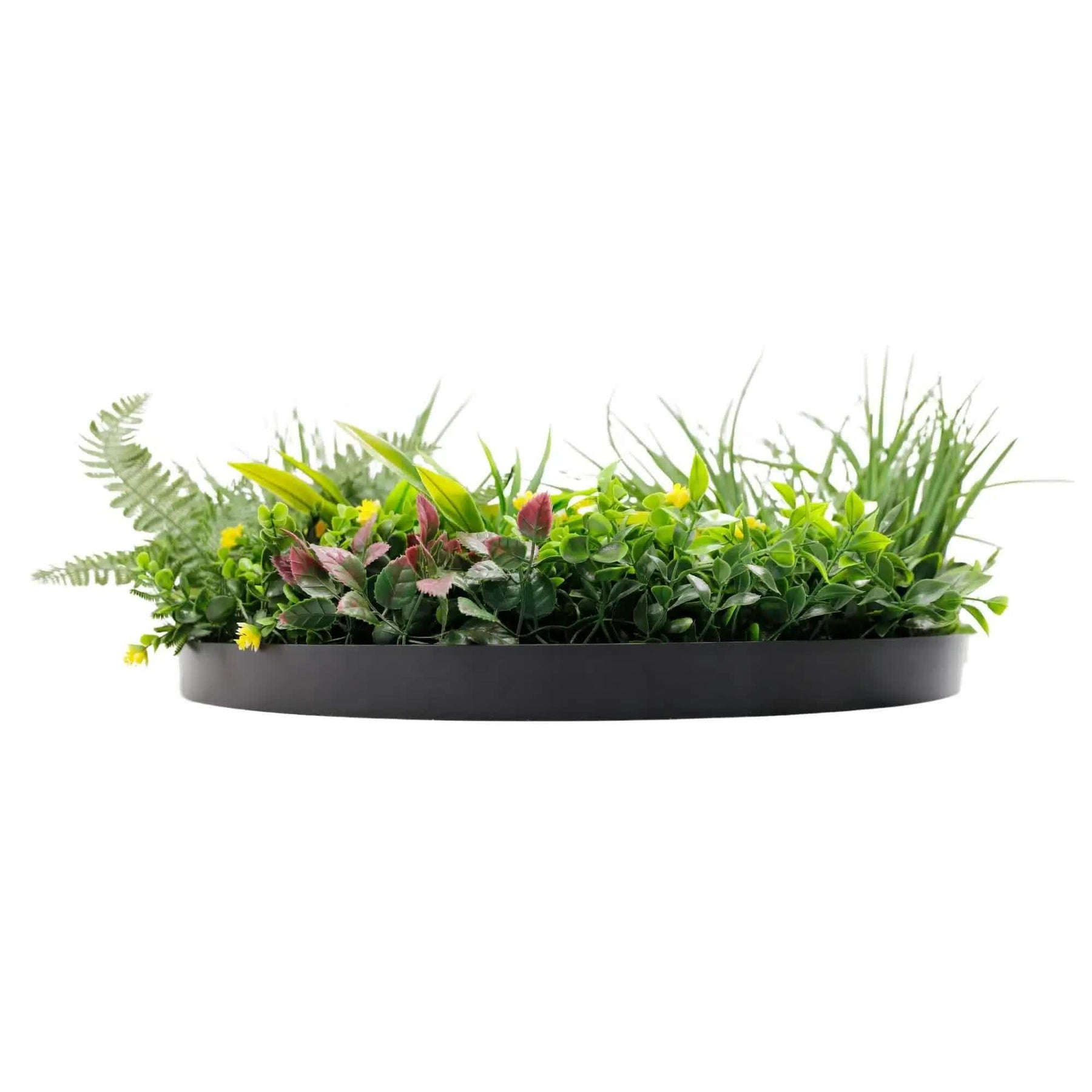 60cm Artificial Green Wall Disc Art | Black Frame, Handmade, UV Resistant - SuperSaverAU - view 4