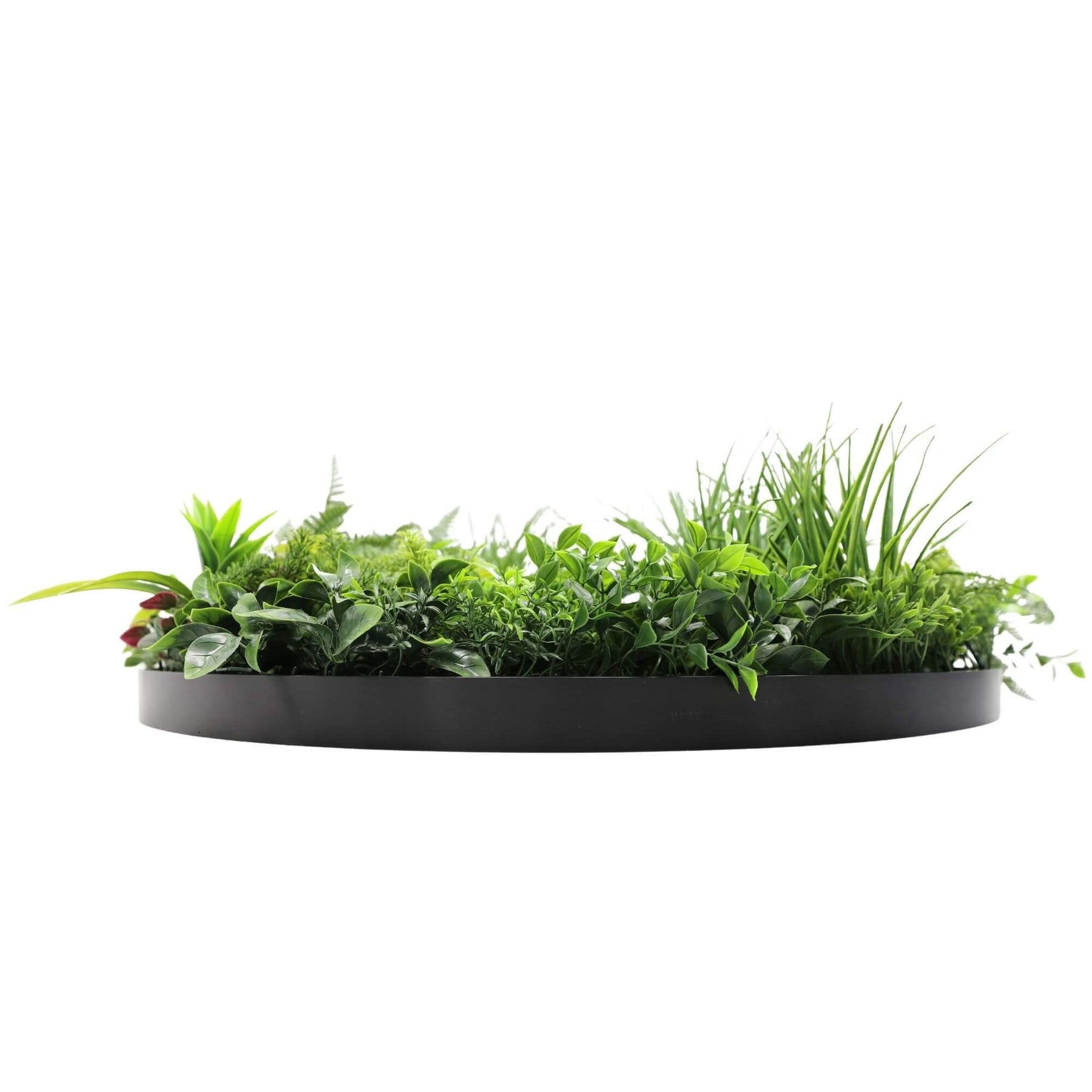 80cm Country Fern Artificial Green Wall Disc Art - UV Resistant, Zero Maintenance - SuperSaverAU - view 4