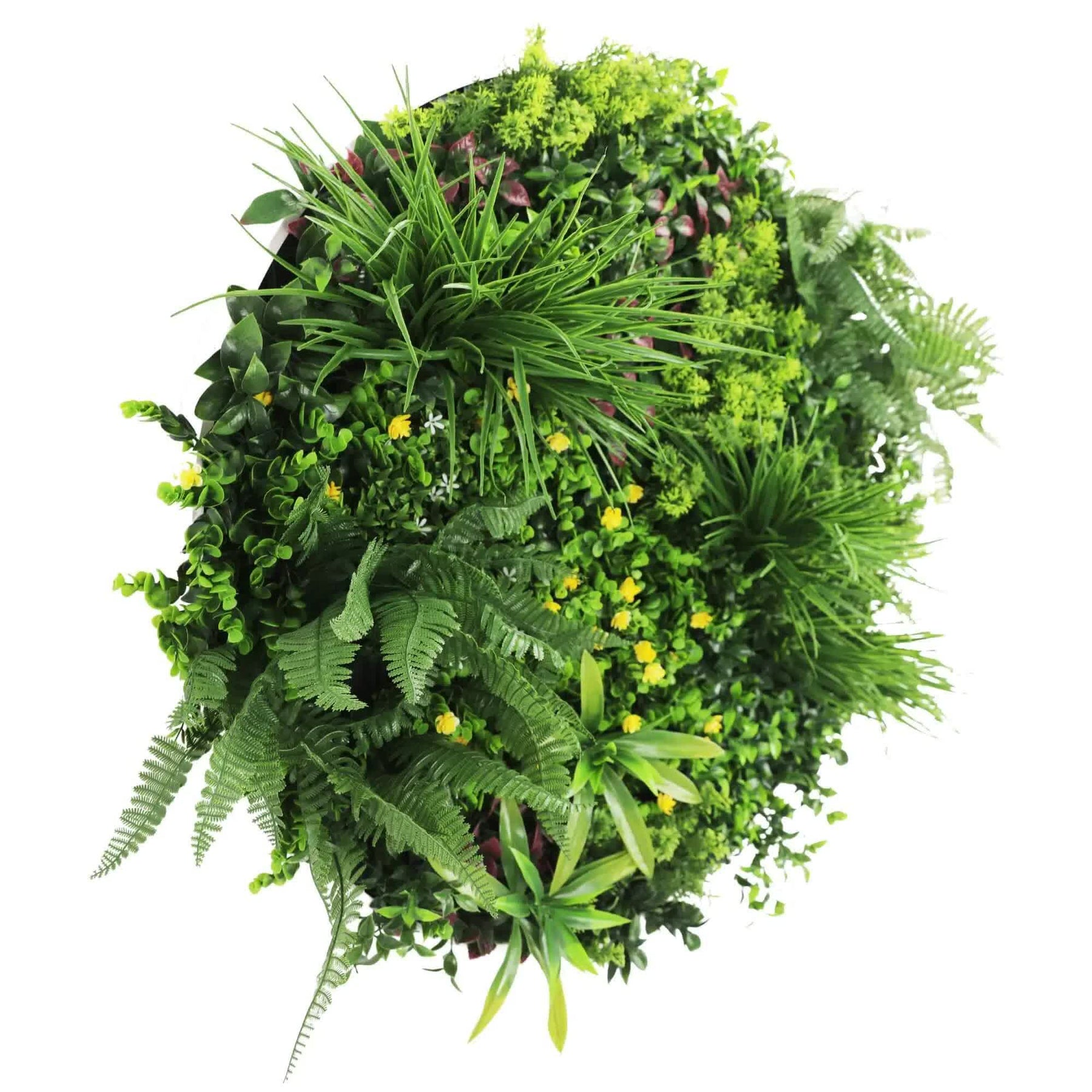 80cm Slimline Artificial Green Wall Disc Art Country Fern - UV Resistant, White Frame - SuperSaverAU - view 1
