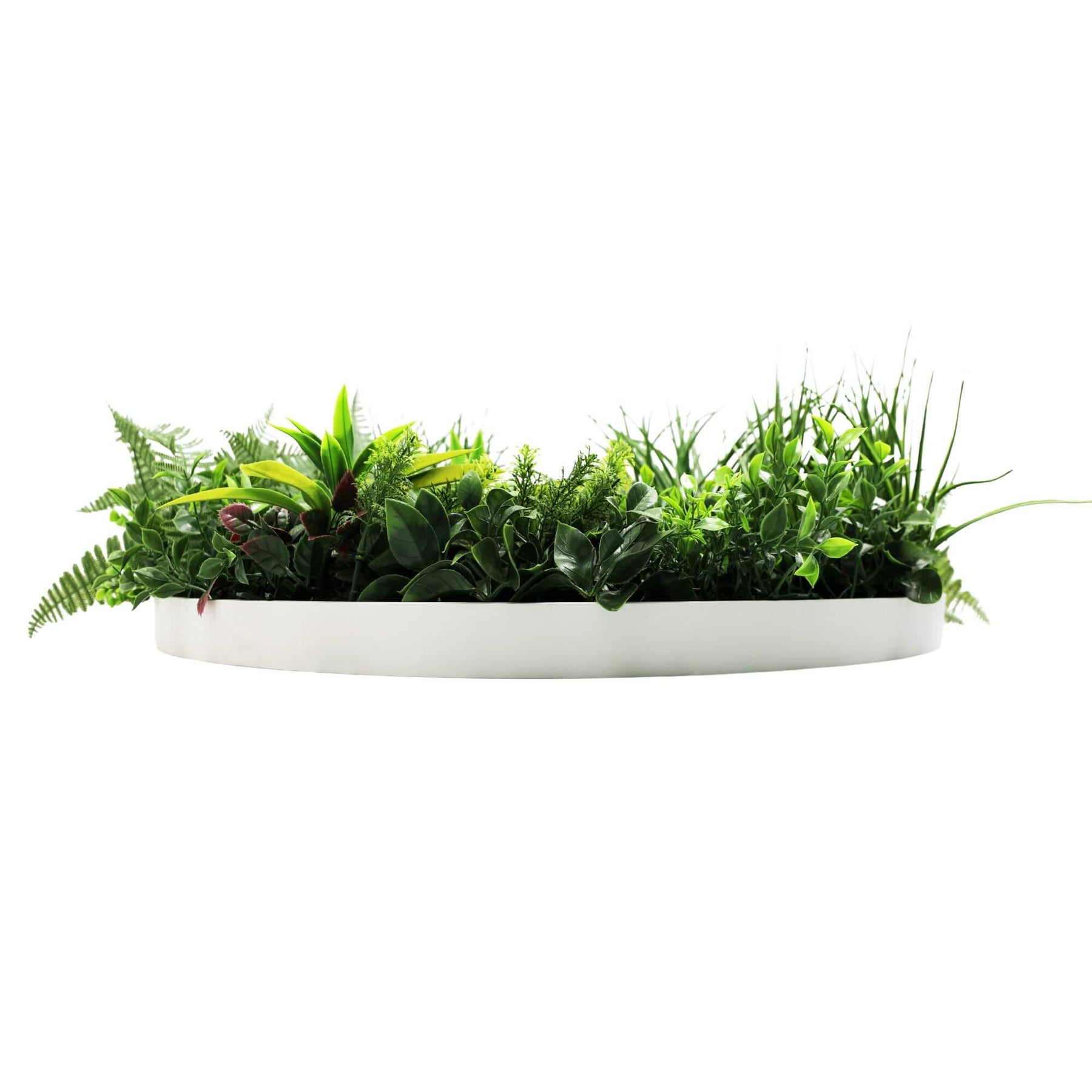80cm Slimline Artificial Green Wall Disc Art Country Fern - UV Resistant, White Frame - SuperSaverAU - view 4