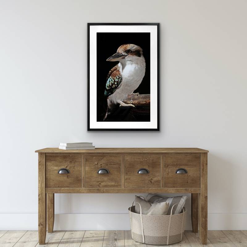 Mystery Kookaburra Artwork Framed Wall Art 80x120cm Multi Colour Glass Decor - SuperSaverAU - view 4