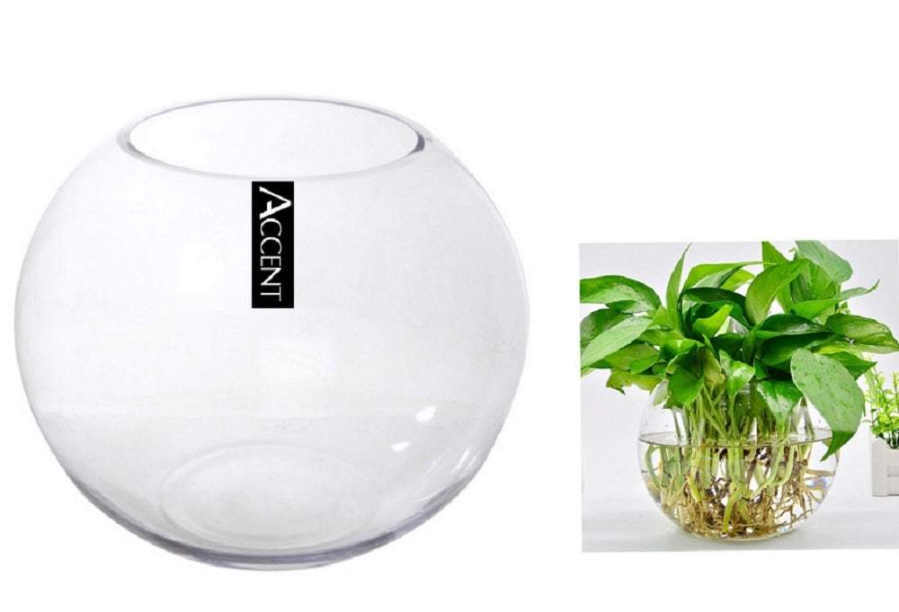 Glass Fish Bowl 19x17cm - Clear Round Glass Bowl for Home or Event Display - SuperSaverAU - view 1
