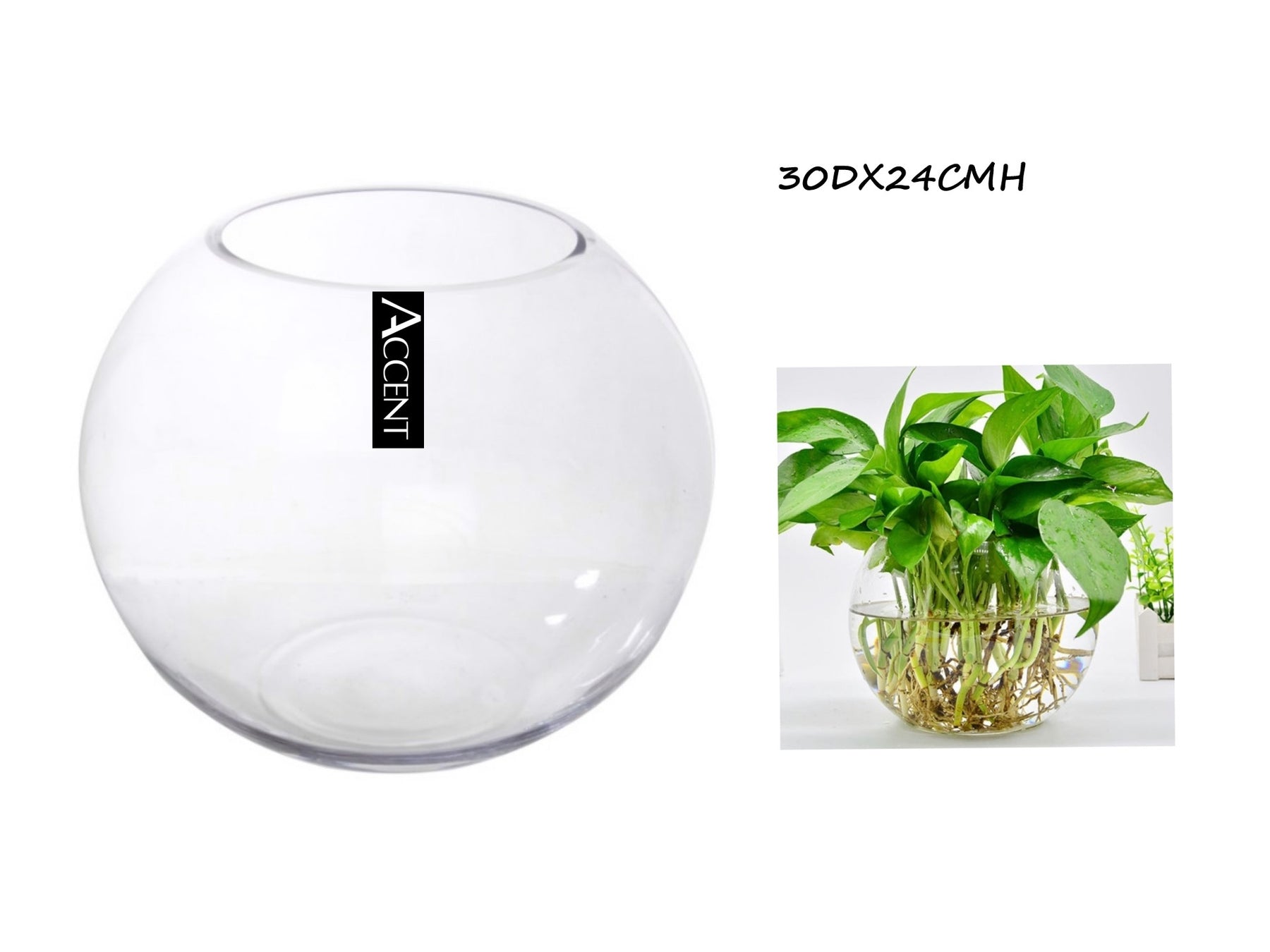 Glass Fish Bowl 30x24cm - Classic Round Clear Glass Bowl for Home & Events - SuperSaverAU - view 1
