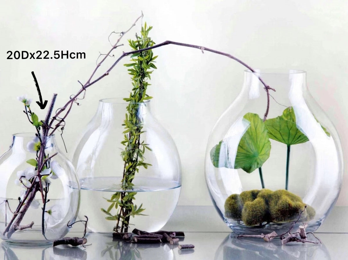 Glass Wide Bubble Vase 22cm - Clear Fishbowl Decor, 1 kg - SuperSaverAU - view 1