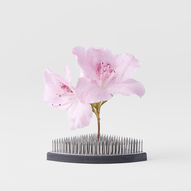 Premium Kenzan Ikebana Pin Base – Fan Shape 7.6cm Floral Arrangement Holder