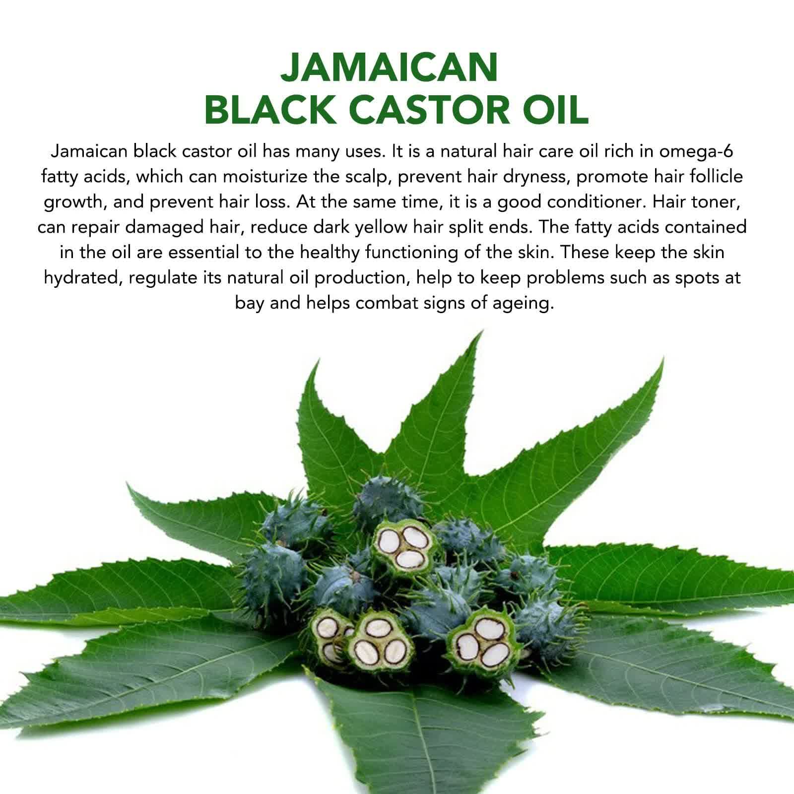 Jamaican Black Castor Oil 2.02 fl oz - Organic Hair and Skin Treatment - SuperSaverAU - view 3