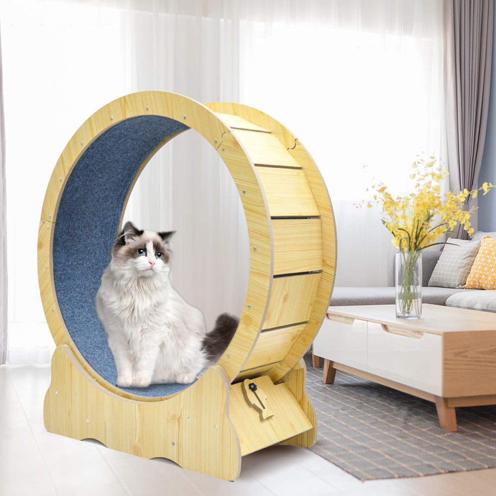 Premium Cat Running Wheel Ultra-Quiet Treadmill with Safety Latch