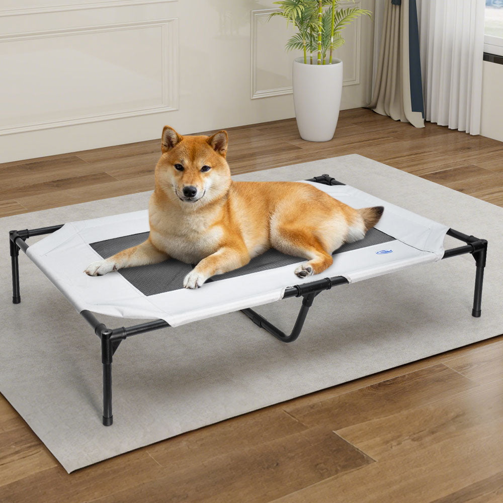 Premium Raised Dog Bed Large with Breathable Mesh - 123 x 80 x 22cm