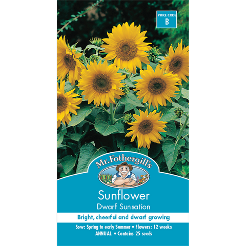 Mr Fothergill Sunflower Dwarf Sunsation Seeds 45cm Seed Quick Flower - SuperSaverAU - view 1