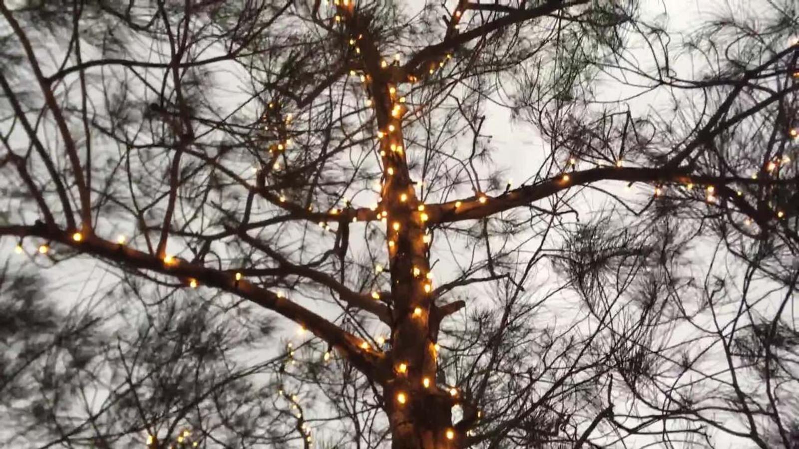 Lytworx 23.9m Warm White 240 LED Connectable Heavy Duty Fairy Lights IP44 60995