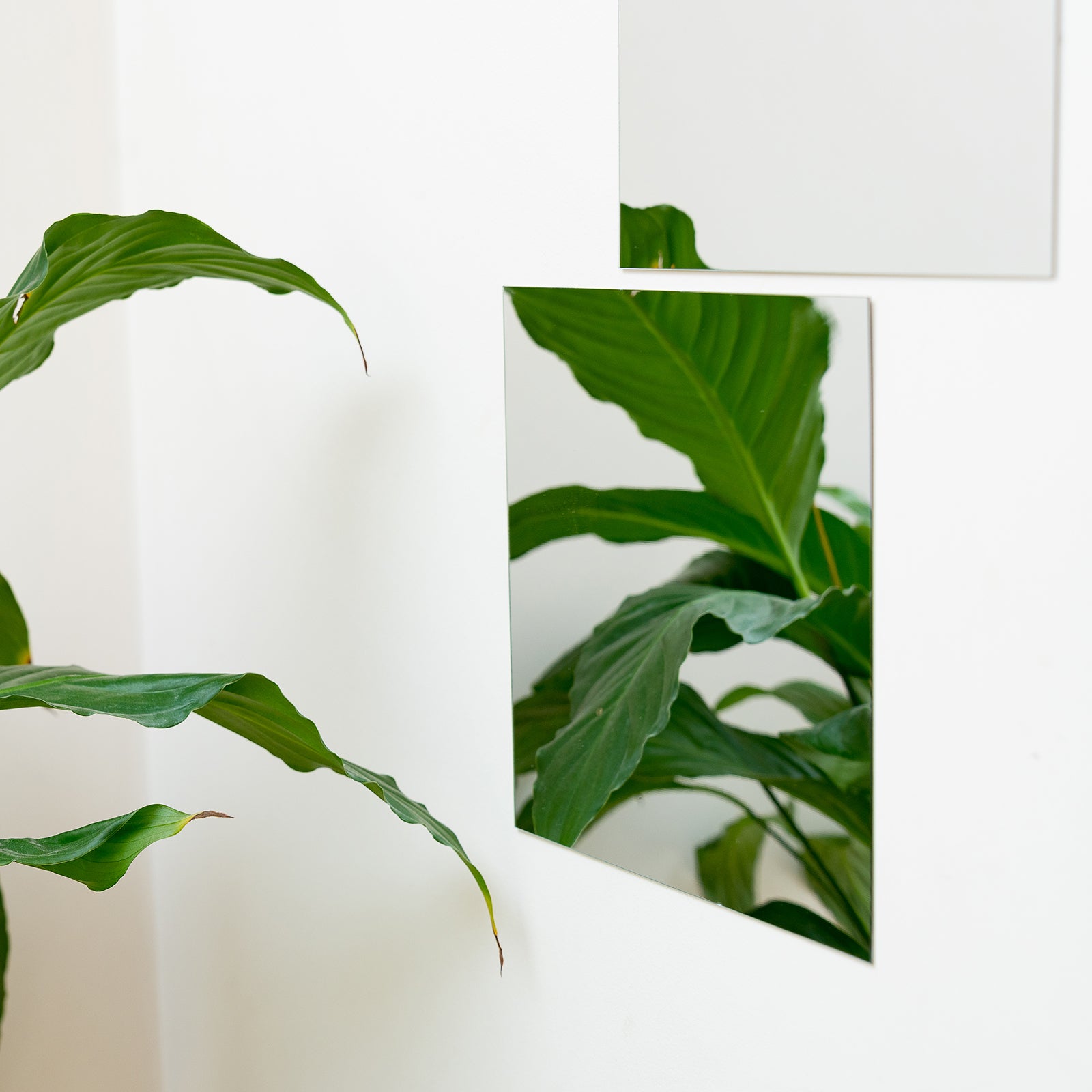 Stylit 200 x 200mm Square Acrylic Mirror, Self-Adhesive, Wall Hung