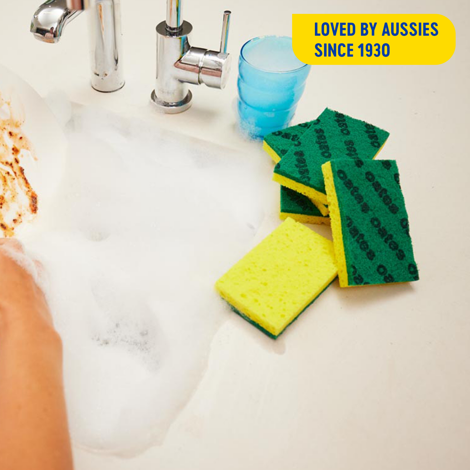 Oates Antibacterial Heavy Duty Sponge Scourers - 6 Pack, Indoor & Outdoor