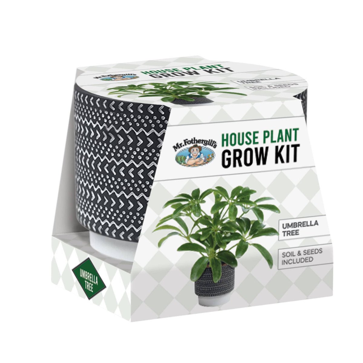 Mr Fothergill's Umbrella Tree House Plant Grow Kit with Terracotta Pot