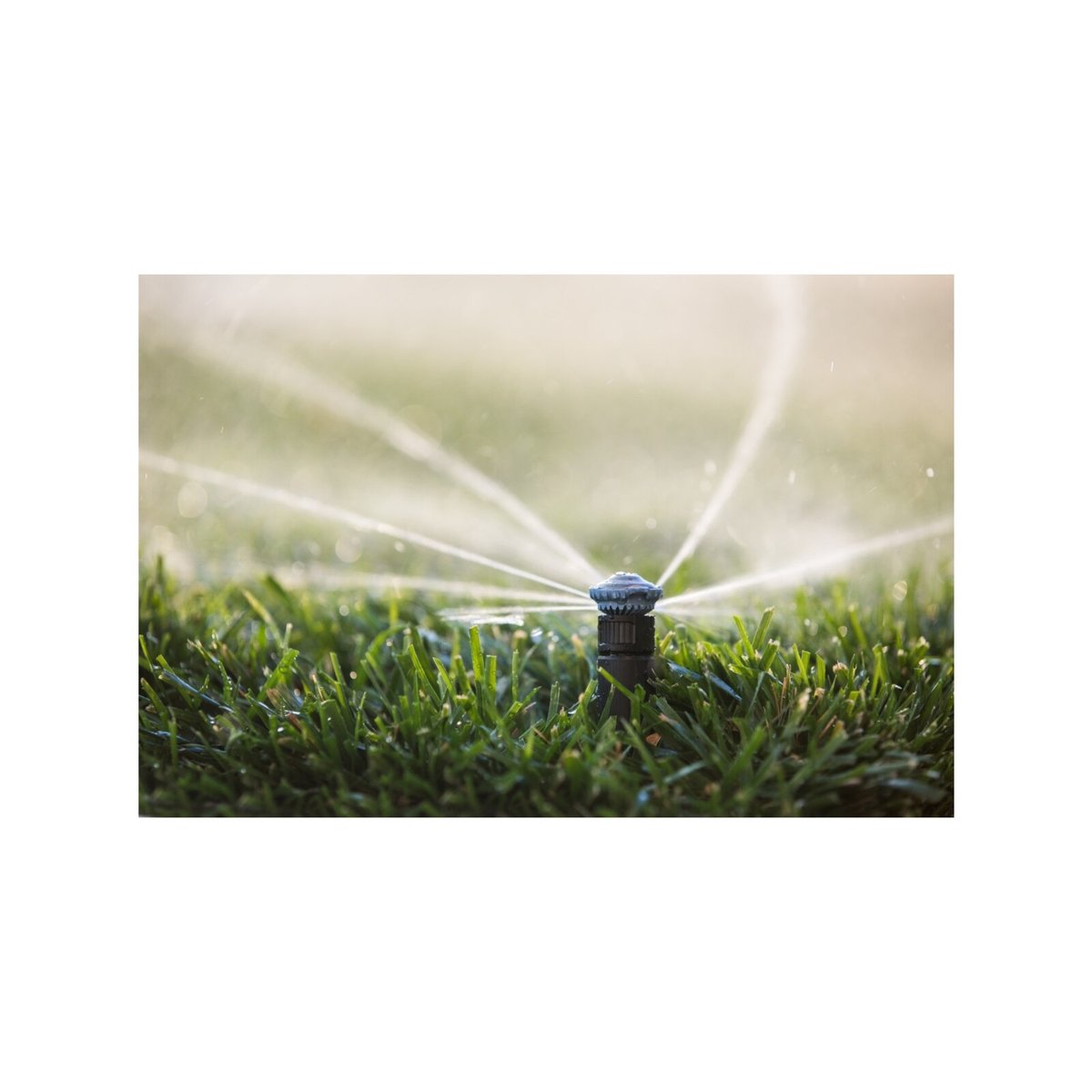 Rain Bird 2.4-4.2m High Efficiency Adjustable Pattern Rotary Nozzle