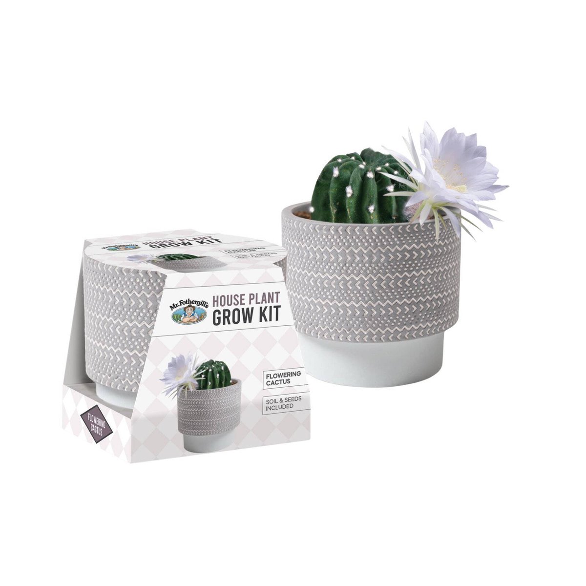 Mr Fothergill's Flowering Cactus Grow Kit - Echinopsis denudatum - 95mm x 100mm x 75mm - Indoor Gardening - SuperSaverAU - view 2