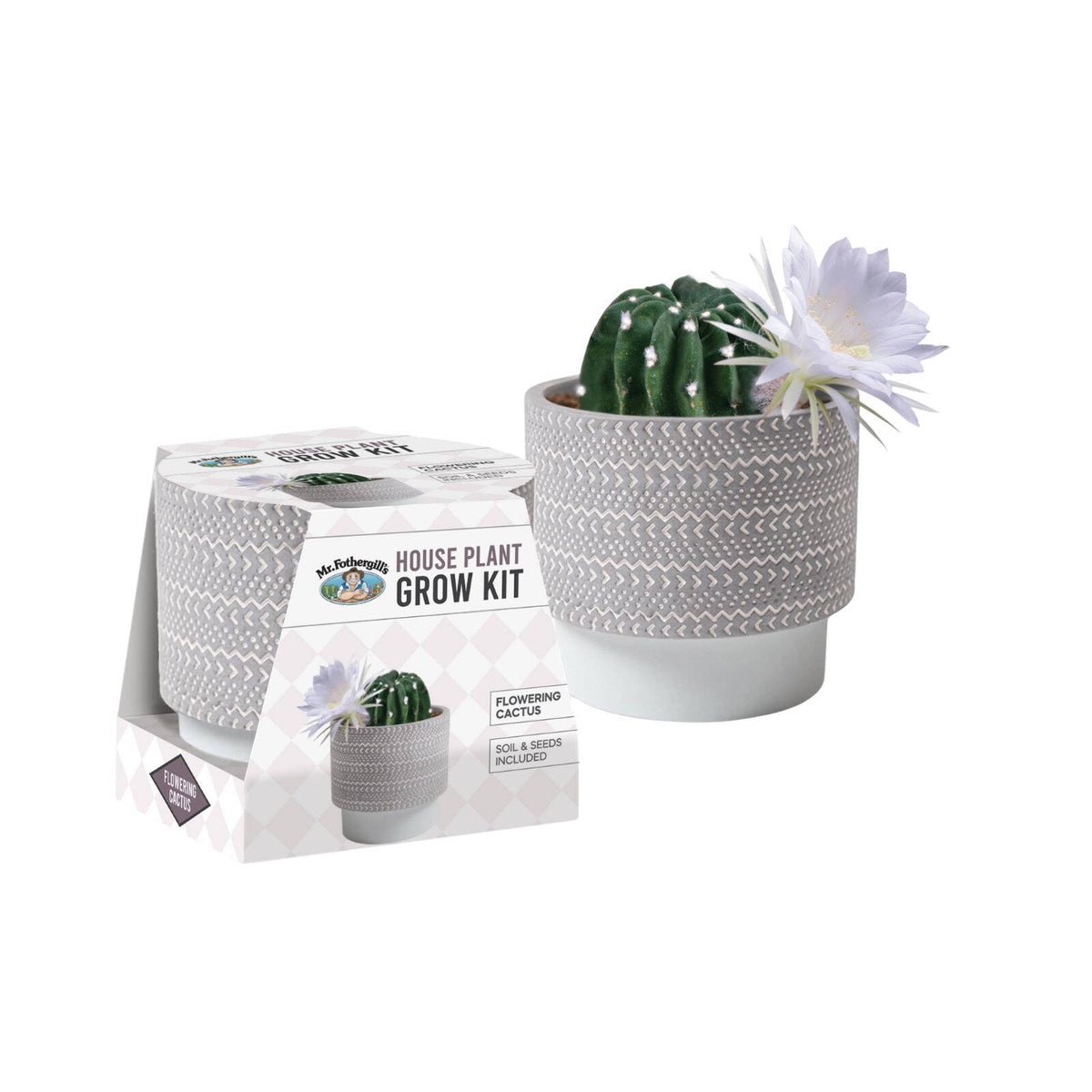 Mr Fothergill's House Plant Grow Kit Flowering Cactus with Terracotta Pot