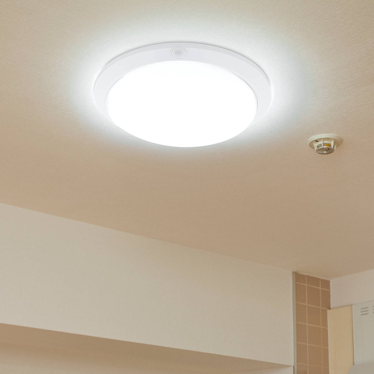 Arlec DIY LED Oyster Sensor Light, 18W, Weather Resistant, White MAL626