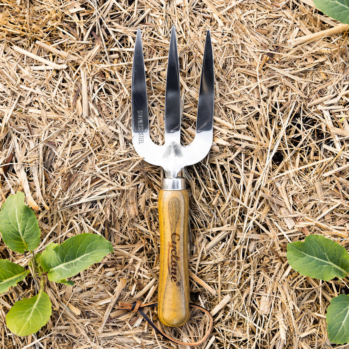 Cyclone 3-Tine Stainless Steel Hand Fork Ashwood Handle