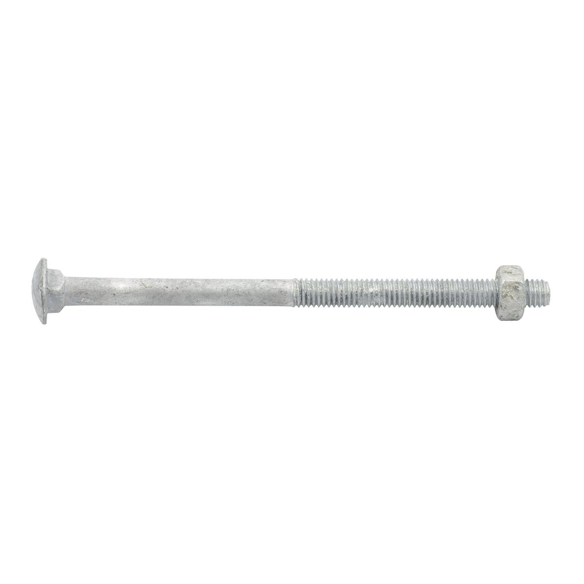 Zenith Cup Head Bolt - M6 x 100mm - 4.6 Grade Steel - Hot Dipped Galvanised - SuperSaverAU - view 1