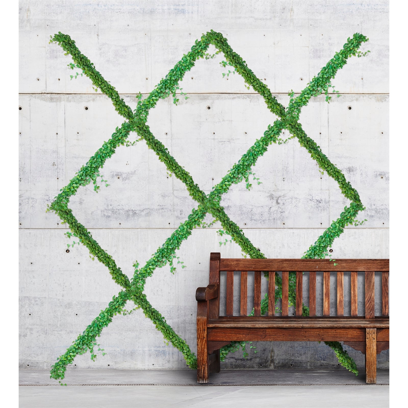 Jack Grip And Grow Trellis Kit Plant Trainer 5m