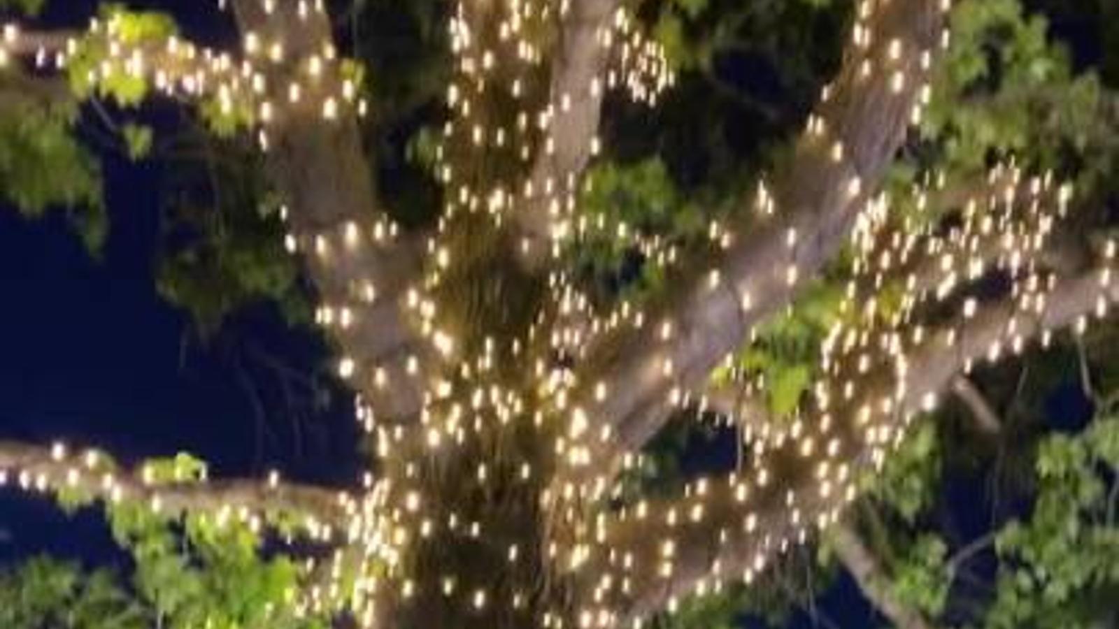 Lytworx 23.9m Warm White 240 LED Connectable Heavy Duty Fairy Lights IP44 60995