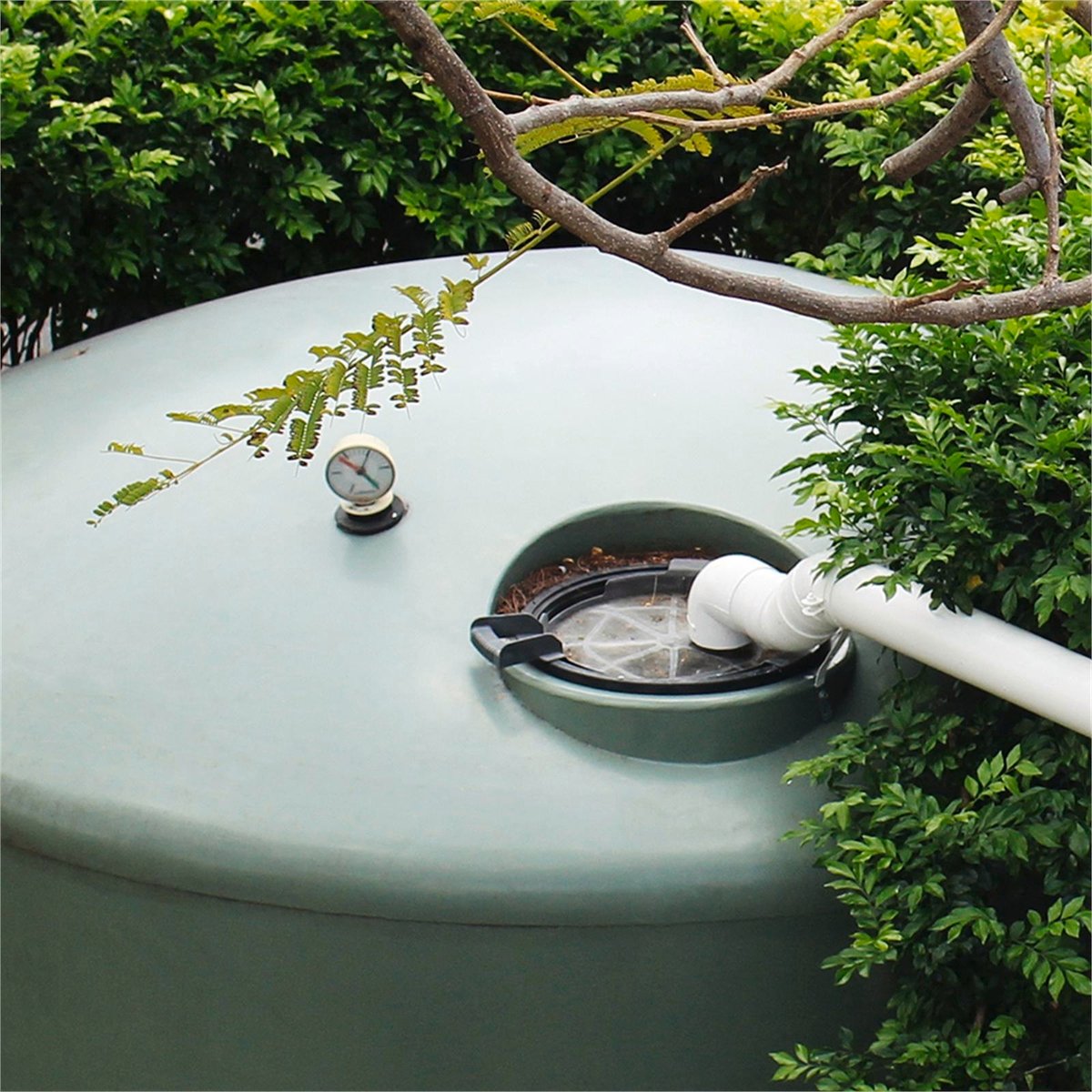 Rain Harvesting Maintenance Tray 300mm - Black Stainless Steel Screen Tank Guardian
