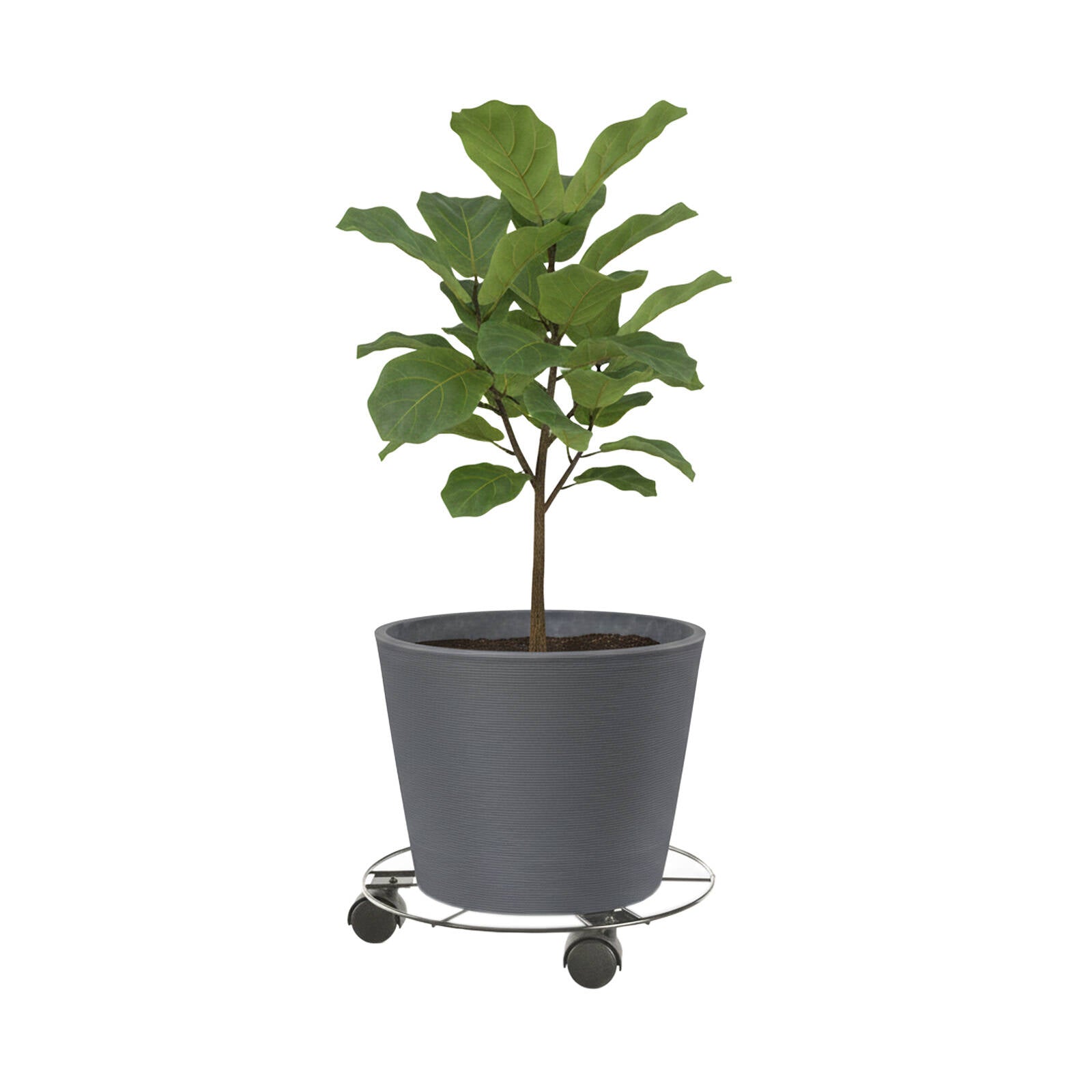 Eden 30cm Round Pot Plant Trolley Black 30kg