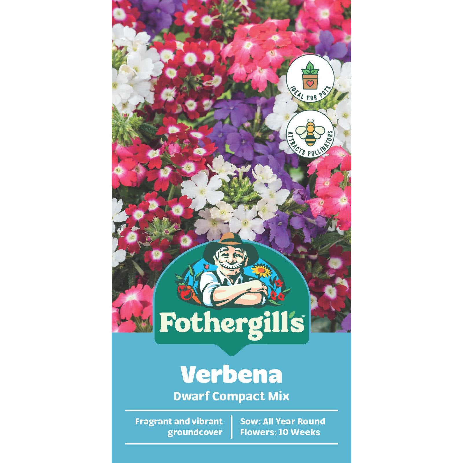 Mr Fothergill's Verbena Dwarf Compact Flower Seeds - Mixed Colour Ground Cover 20cm