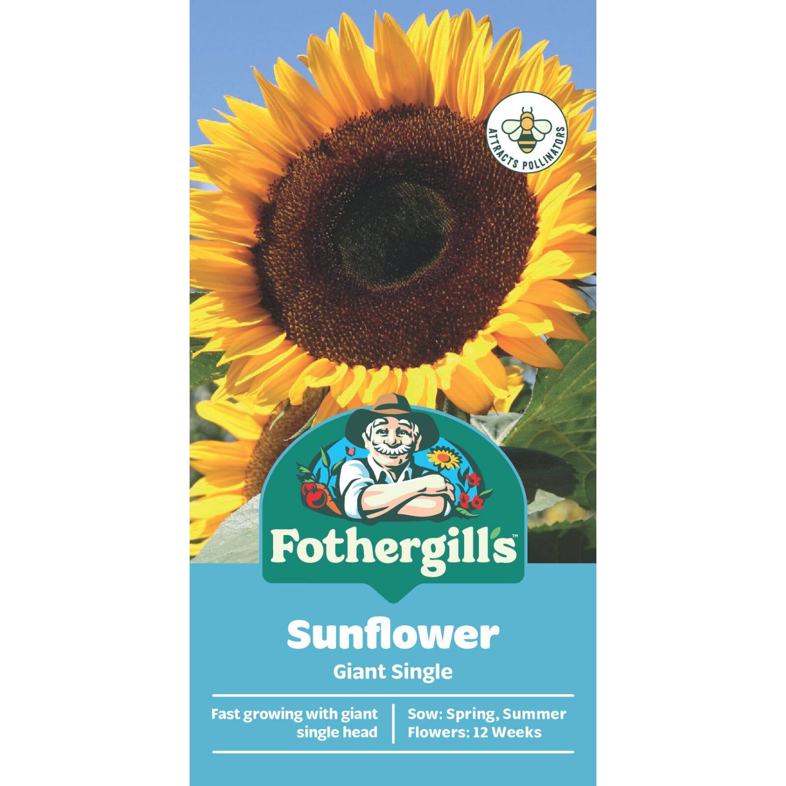 Mr Fothergill's Sunflower Giant Single Seeds - Tall Golden Variety, 180cm
