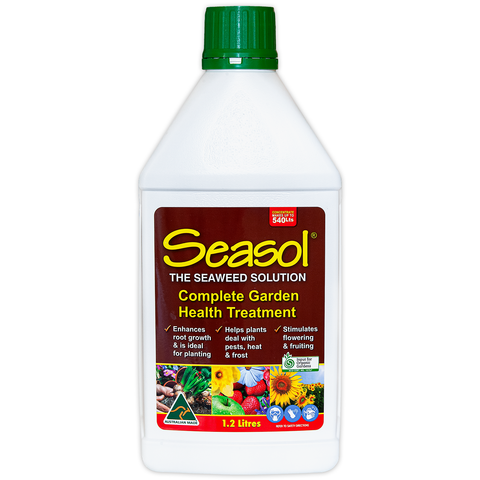 Seasol Seaweed Health Tonic Concentrate 1.2L