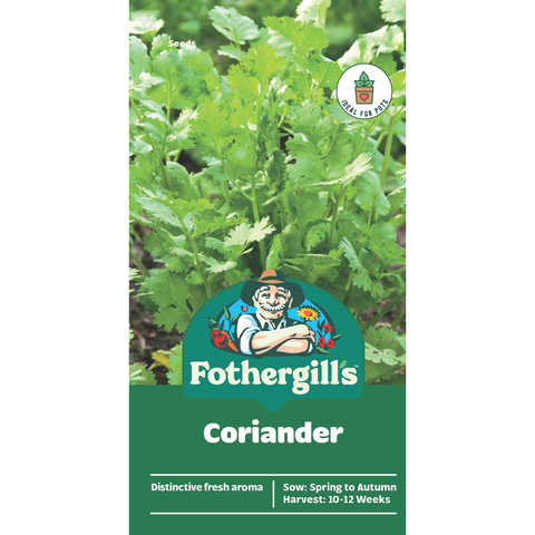 Mr Fothergill's Coriander Herb Seeds for Sunny & Part Shade
