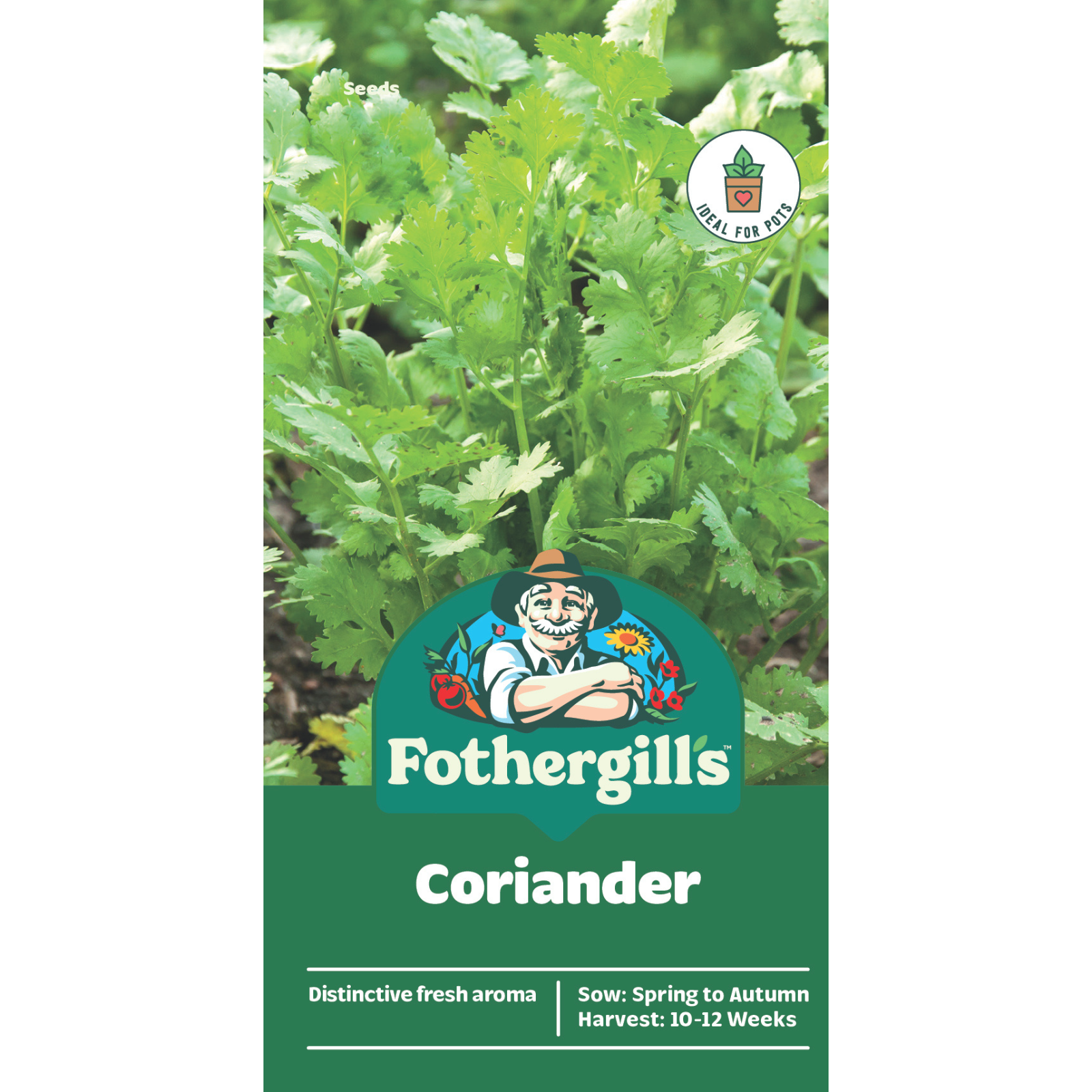 Mr Fothergill's Coriander Herb Seeds for Sunny & Part Shade