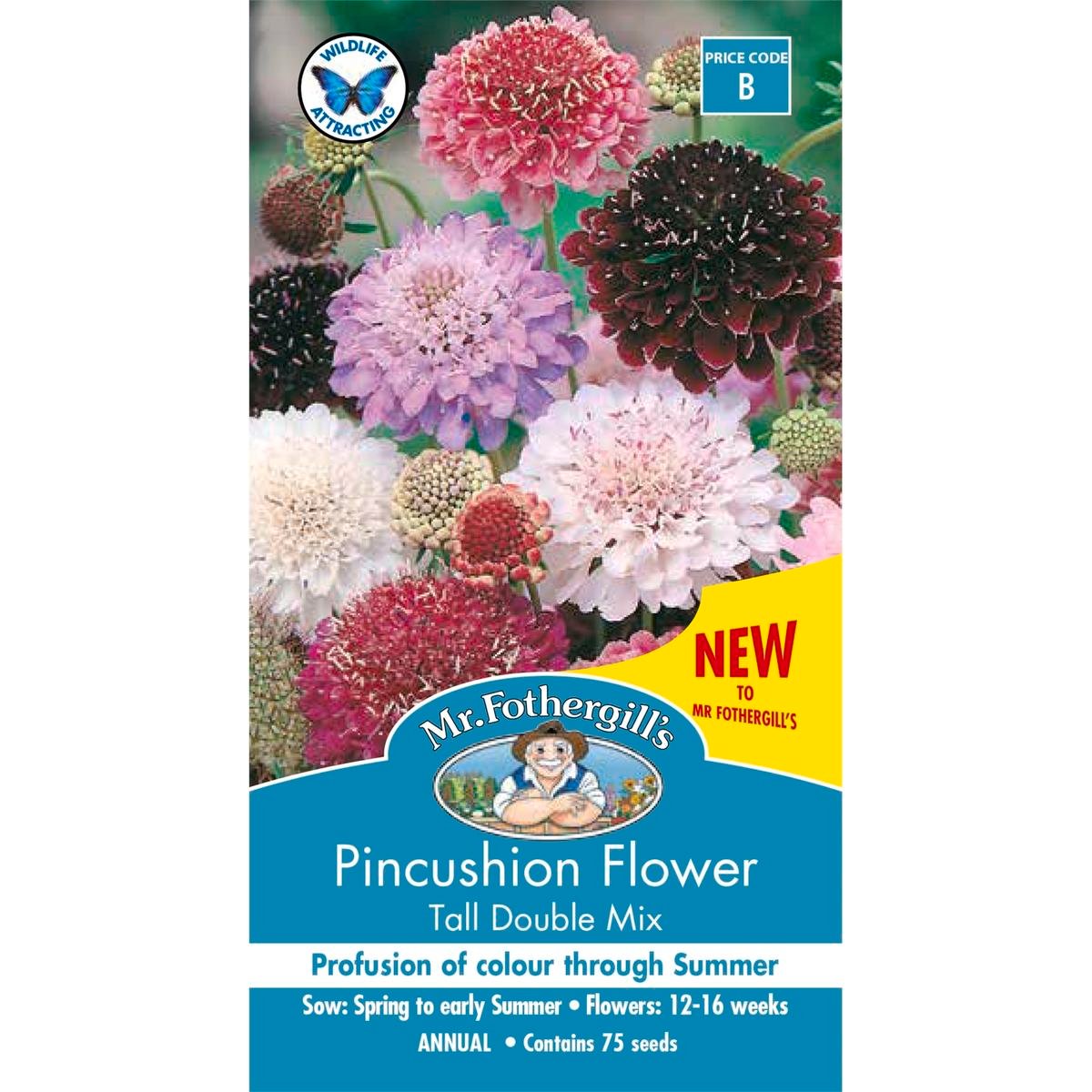 Mr Fothergill Pincushion Scabious Mixed Seeds 90cm Tall Attracts Bees - SuperSaverAU - view 1