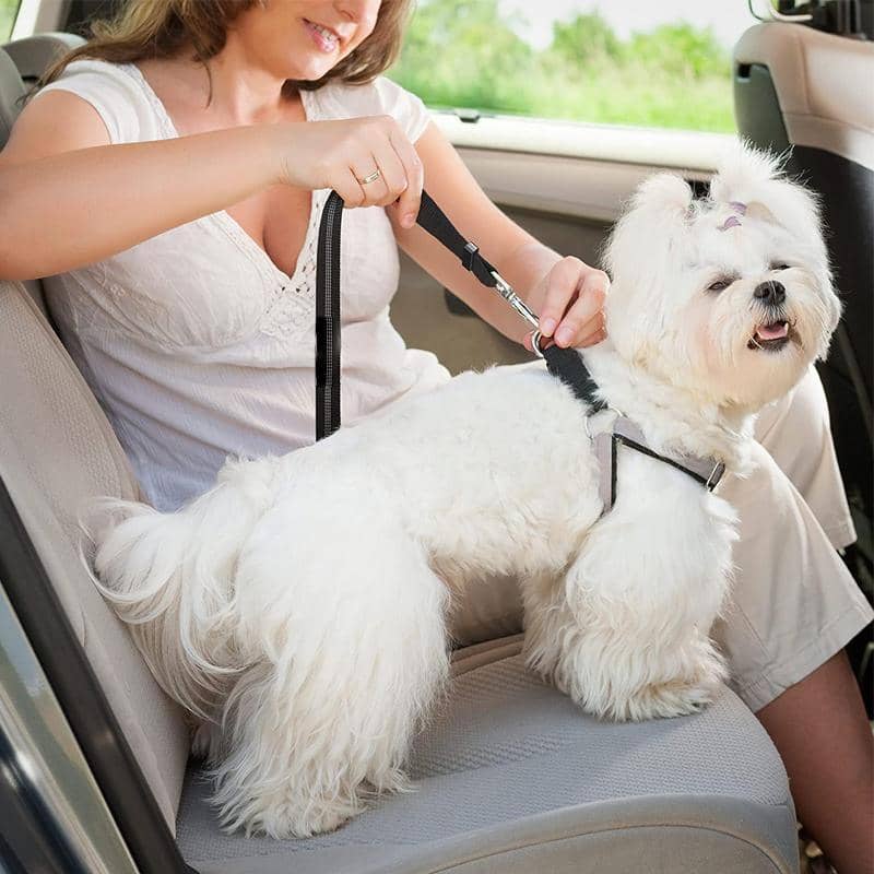 Adjustable Elastic Dog Car Seat Belt Tether with Clip - Red - view 5