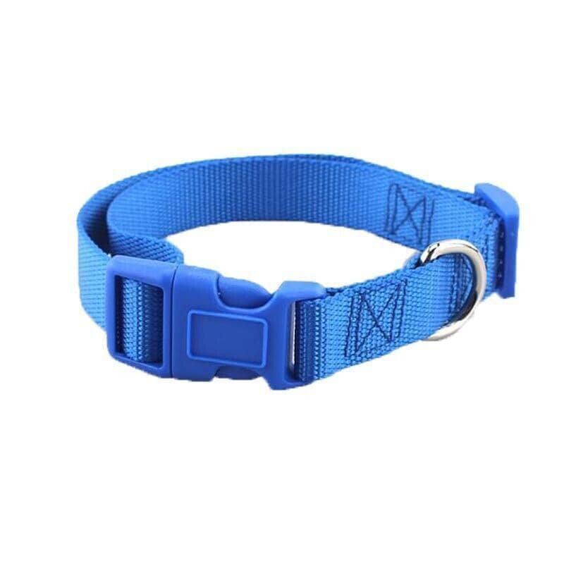 Adjustable Nylon Dog and Puppy Collar - Blue, Small (30-45 cm)