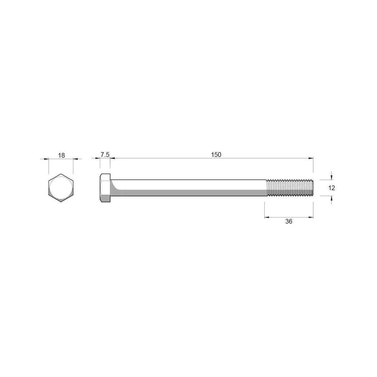 Zenith M12 x 150mm Stainless Steel 304 Hex Head Bolts and Nuts