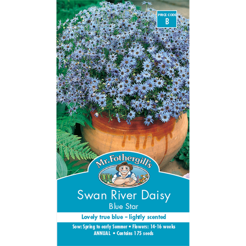 Mr Fothergill S Swan River Daisy Seeds - Blue - 30cm - Annual - Scented - SuperSaverAU - view 1