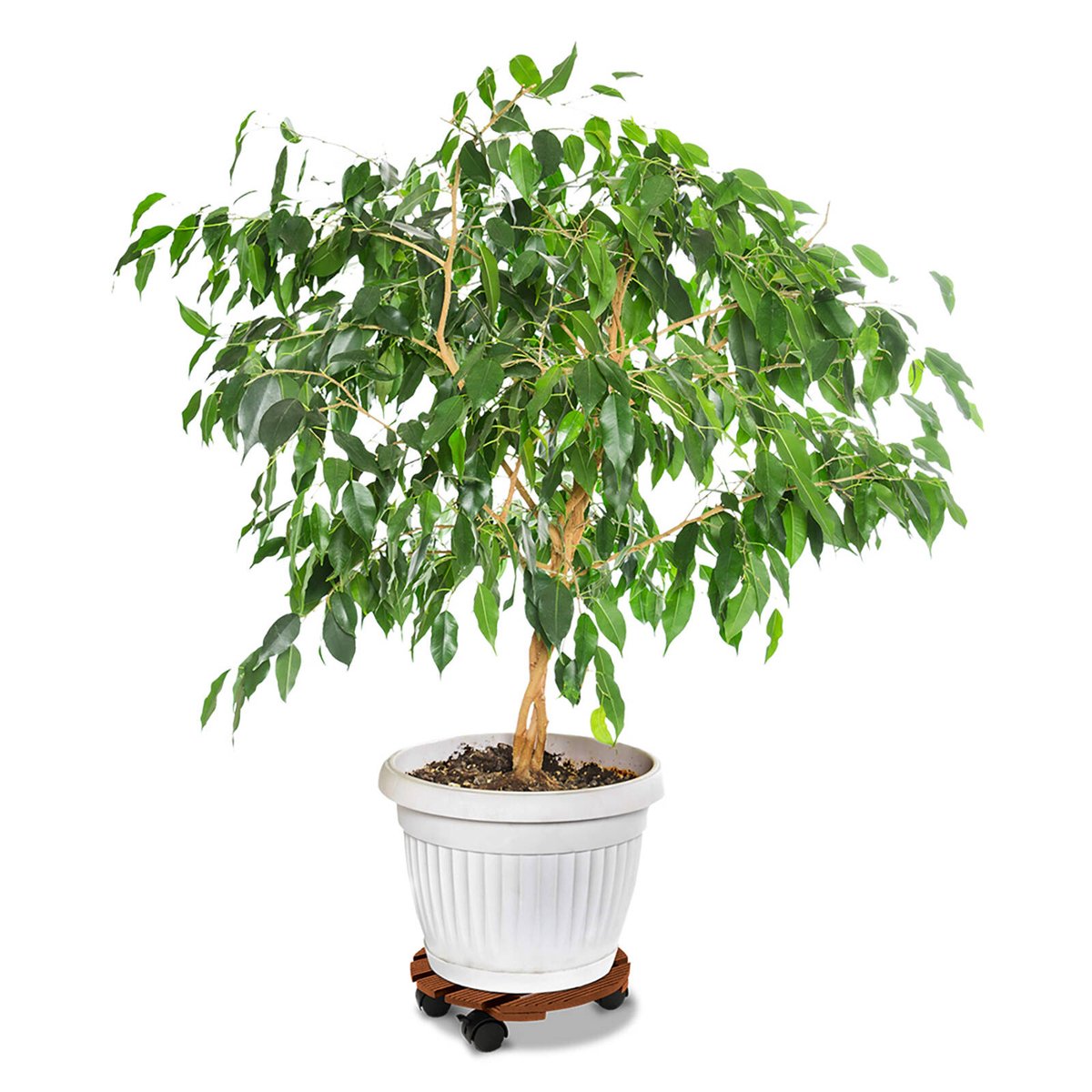 Jack 29cm Round Merbau Pot Trolley - Wood-Poly Composite, 100kg Capacity
