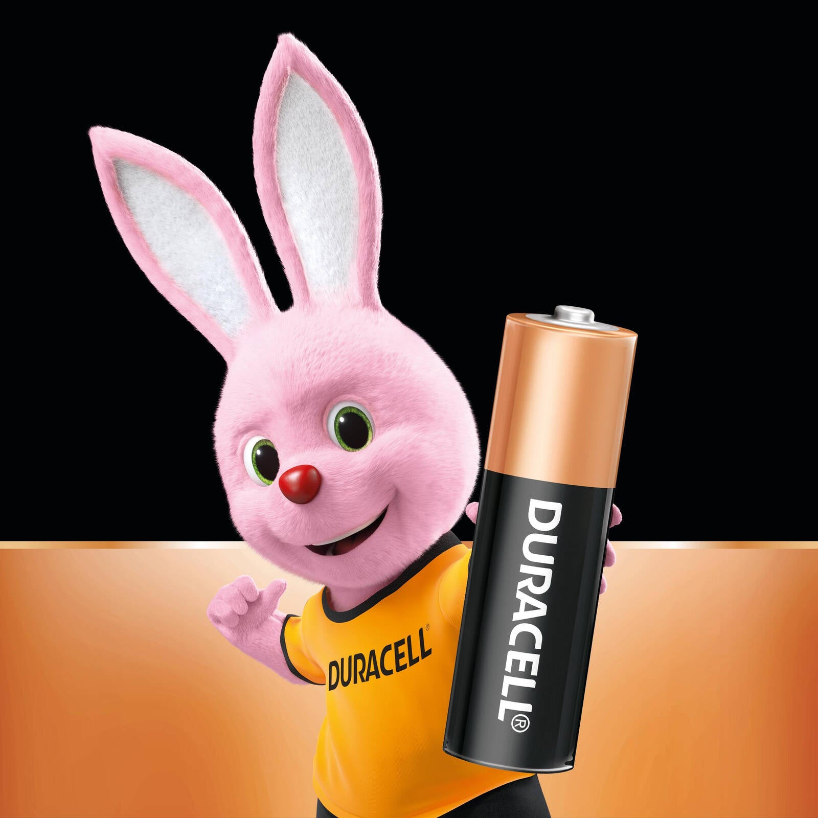 Duracell Coppertop AA Alkaline Batteries 1.5V - 4 Pack