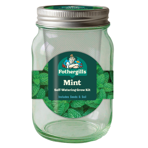 Mr Fothergill's Self Watering Mason Jar Mint Grow Kit - Green Glass, Indoor Herb Kit